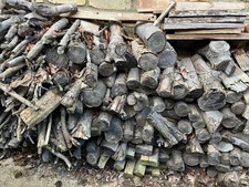 Firewood of various age and