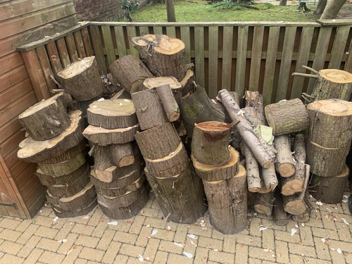Logs for wood - for,