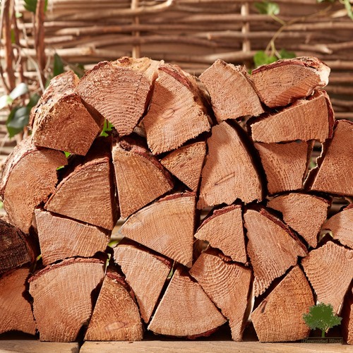 Softwood logs kiln dried - softwood,