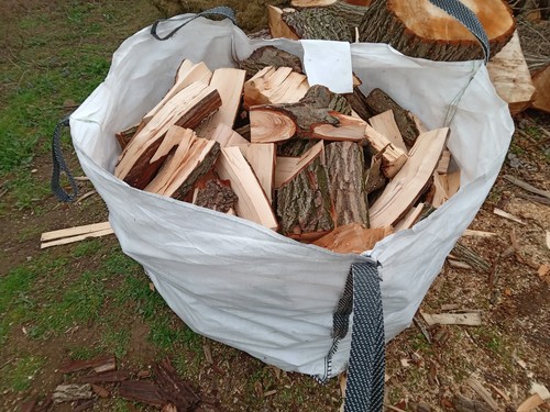 Unseasoned logs fire wood - /,